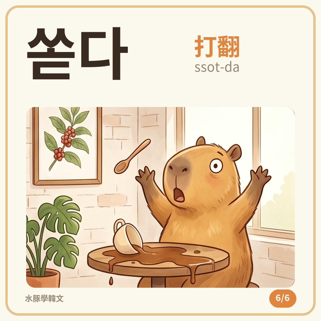 單字卡 6／6：쏟다（ssot-da）打翻